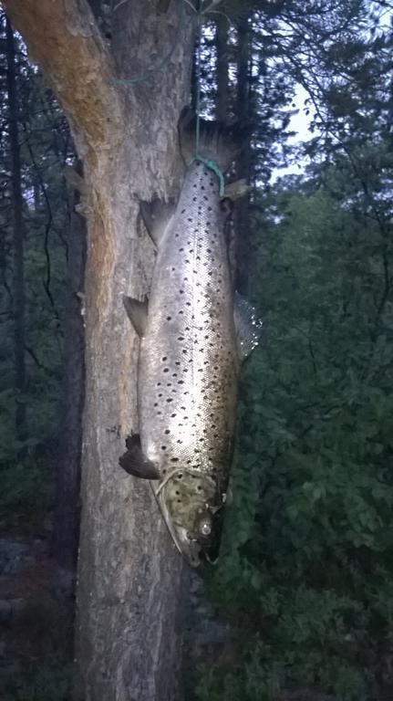 Inari Juutua Villa Kültér fotó